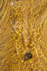 Detalles de arena y agua (Sand and water features). Playa Dail Beag Beach. Lewis Island. Outer...