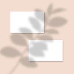 Pink Mockup horizontal business Card Mockup with realistic shadows overlays leaf. Vector Shadow Of A Tropical Plant. Template Flyer, Card, Poster, social media post