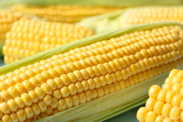Corn background. Close up of corn grains