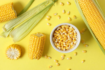 Fresh corn on a colored background. Corn heads.