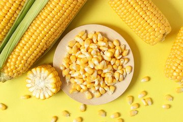 Fresh corn on a colored background. Corn heads.