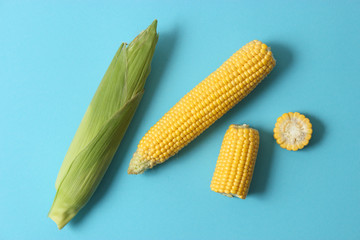 Fresh corn on a colored background. Corn heads.