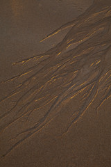 Diseños de arena (Sand Patterns). Playa Dail Beag Beach. Lewis Island. Outer Hebrides. Scotland, UK