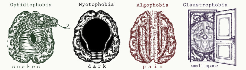 Psychology collection. Fear of snakes (ophidiophobia), dark (nyctophobia), pain (algophobia), small space (claustrophobia). Psychological vector illustration. Psychiatry art