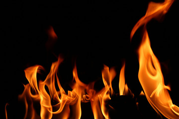 Flame on a wooden pile on a black background.