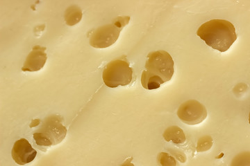 Cheese texture, closeup. Hard seasoned cheese structure in macro shot