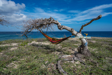  Wataluma  Views around the Caribbean island of Curacao