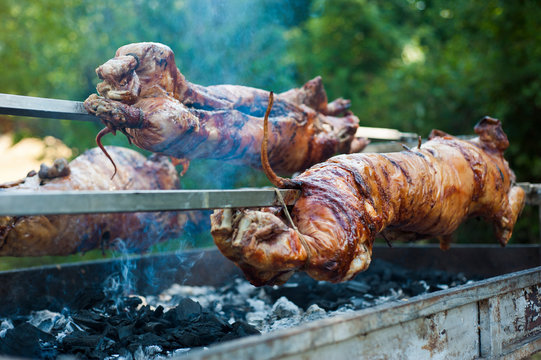 Traditionally suckling pig on a rotating spit with fire and smoke