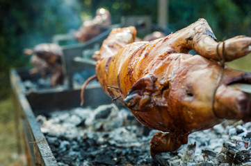Traditionally suckling pig on a rotating spit with fire and smoke