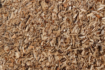 A pile of small sawdust and wood shavings. Abstract textured background for wallpaper in the form...