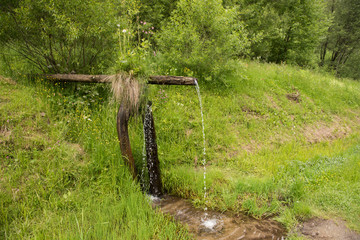 cierny balog slovakia pure dringing water running trought forest 