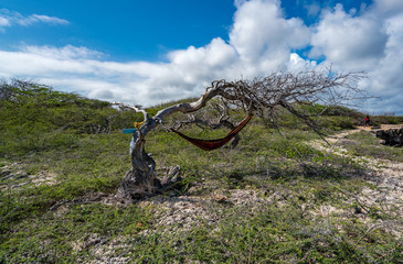  Wataluma  Views around the Caribbean island of Curacao