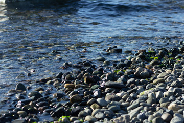 Sunny Rocky Beach