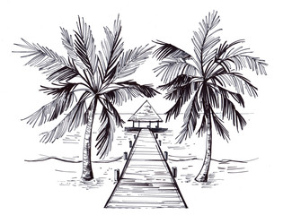 Sketch of a tropical beach with palm trees and the sea. Hand drawn illistration converted to vector