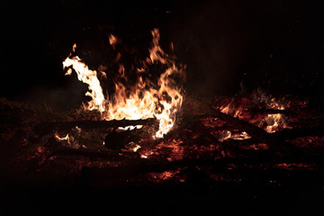 Camp Fire Christmas in July Tree Burning