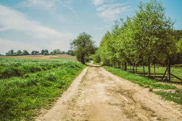 Fototapeta na wymiar Rural landscape in the Vlaamse Ardennen in Belgium in spring