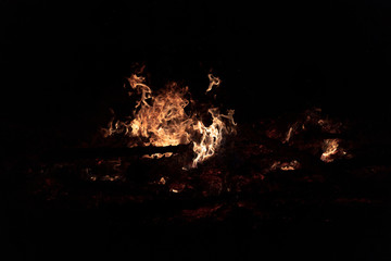 Camp Fire Christmas in July Tree Burning