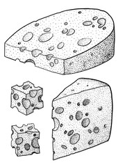 Maasdam cheese illustration, drawing, engraving, ink, line art, vector