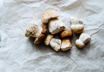 Raw forest porcini mushrooms on paper top view
