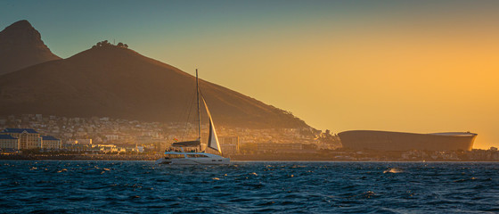 Sailboat cruises Cape Town, South Africa with Table Top Mountain and Lions Head at sunset - obrazy, fototapety, plakaty