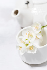 white pialat, tea and jasmine. japanese tea party, vertical