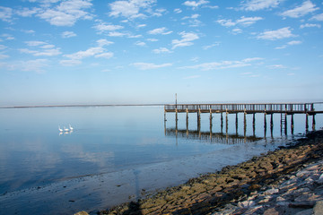 durch die namib nach walvis bay