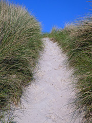 Strandweg durch die Dünen
