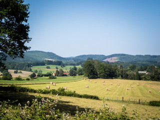 Haute Vienne