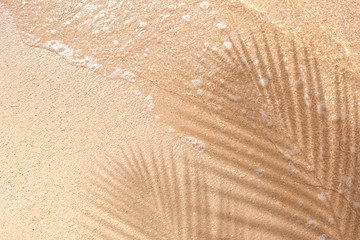 Selective focus of summer and holiday backgrounds concepts with shadow of coconut leaf on clean sand beach - obrazy, fototapety, plakaty