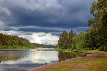 Forest river flowing among pines and firs with a birch in the foreground and a grassy shore and The sky with thunderclouds.