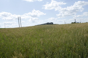 windmill in the field