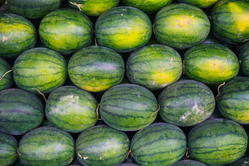  The season of watermelon, watermelon day. Texture, background