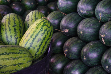  The season of watermelon, watermelon day. Texture, background