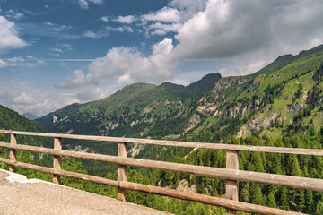 Fototapeta na wymiar Idyllic Alps with green forest on Alps hill