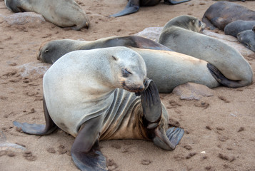 durch die namib nach walvis bay