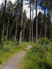 RSPB Lake Vyrnmy Reserve