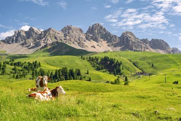 Foto op Plexiglas Toilet Scenic landscape with animal on pasture field
