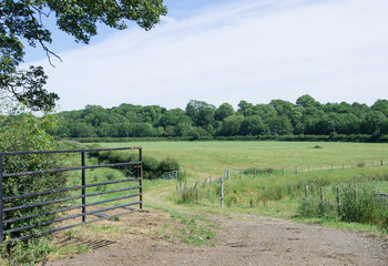 farm fields gate