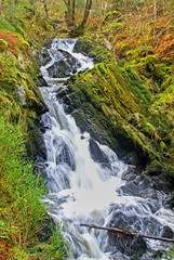 Fototapeta na wymiar Waterway, Stream, Waterfall, Kenick burn, Lauriston