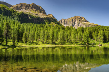 Fototapeta na wymiar Idyllic Alps with green forest, lake and mountain