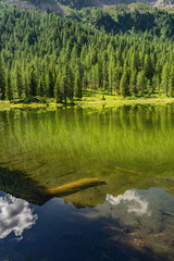 Idyllic landscape with green forest and lake