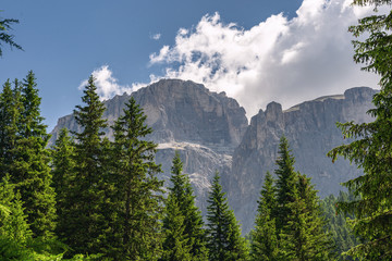 Scenery Alps with high rocky mountain and green forest