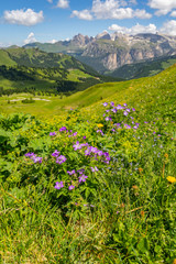Fototapeta na wymiar Beautiful Alps with green mountain under sky
