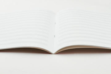 Blank book for musical notes. Blank musical notes sheets. Music copy book. Blank sheet music page.