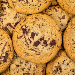 Chocolate Chip Cookies. Selective focus.