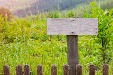 Clean wooden board in the garden against the background of grass, blank for text. Mockup