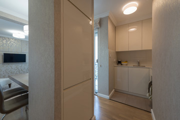 Open plan apartment interior, kitchen area with built in refrigerator
