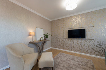 Interior of a luxury living room with wardrobe wall
