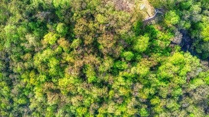 Aerial of a forest with a memorial on the side in the north of Serbia in Fruška Gora