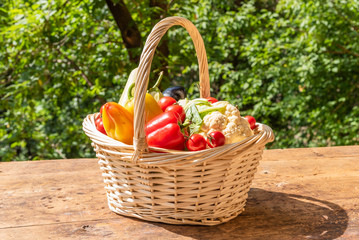 Basket with ripe vegetables on a rustic wooden table on a background of trees in the yard